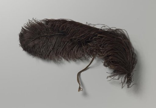 Tuft of dark brown ostrich feathers