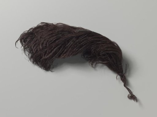Tuft of dark brown ostrich feathers
