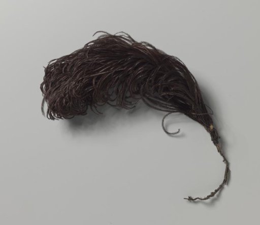Tuft of dark brown ostrich feathers