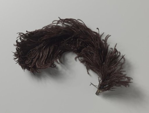 Tuft of dark brown ostrich feathers