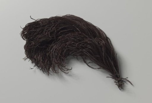 Tuft of dark brown ostrich feathers