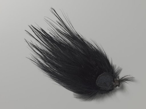Tuft of black aigrettes
