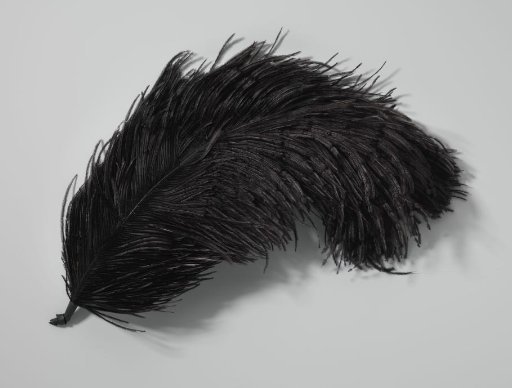 Tuft of ostrich feathers, black