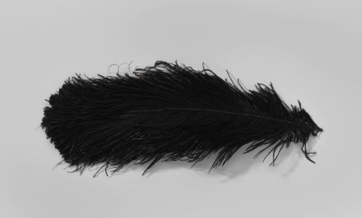 Tuft of ostrich feathers, black