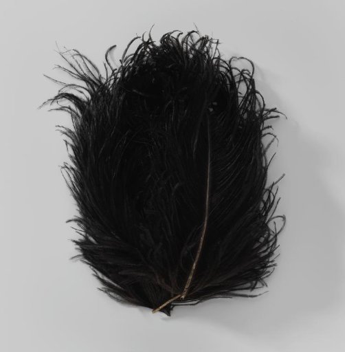 Tuft of ostrich feathers, black