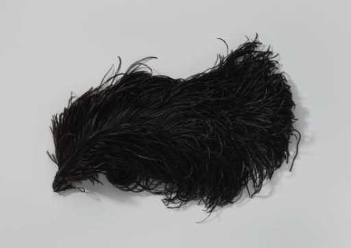 Tuft of ostrich feathers, black