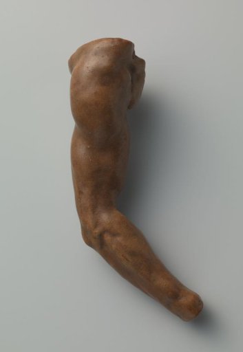 Study models of body parts