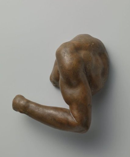 Study models of body parts