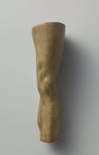 Study models of body parts