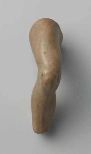 Study models of body parts