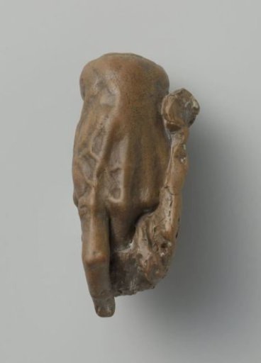 Study models of body parts