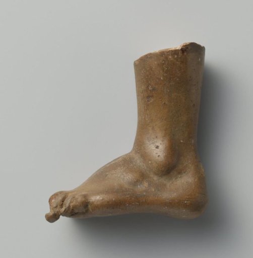 Study models of body parts