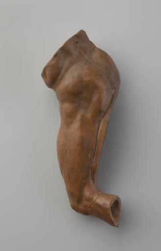 Study models of body parts