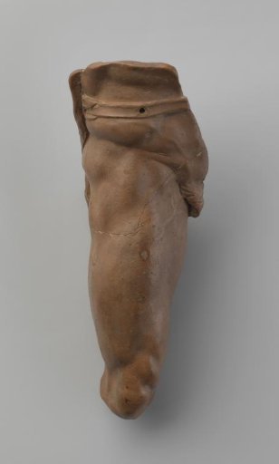 Study models of body parts