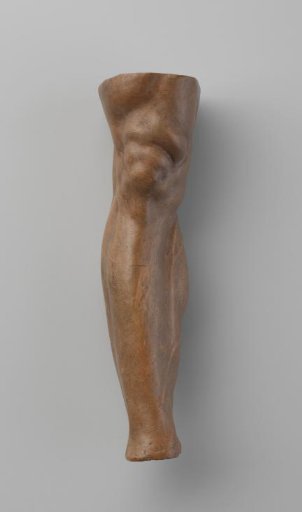 Study models of body parts