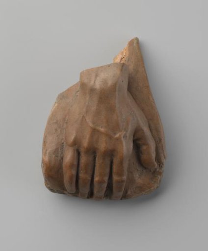 Study models of body parts