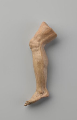 Study models of body parts