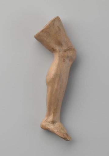 Study models of body parts