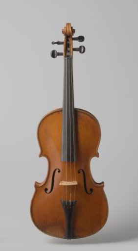 Viola