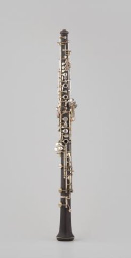 Oboe in a case
