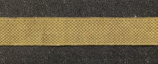 Strip of passementerie with gold thread