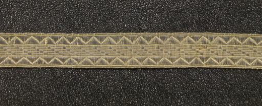 Strip of passementerie with gold thread