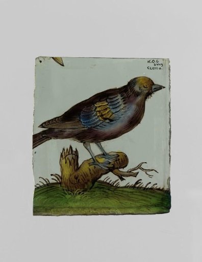 Square with bird