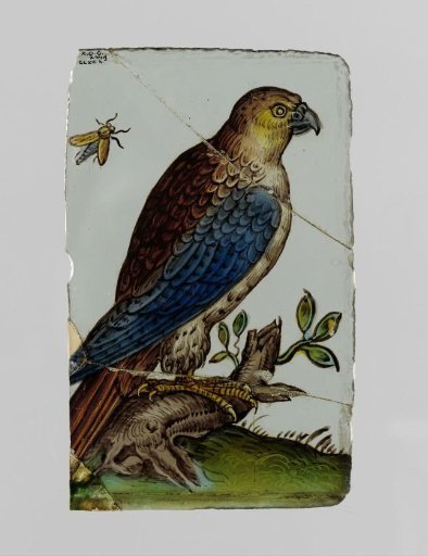 Square with a Hawk on a Tree Stump and Insect