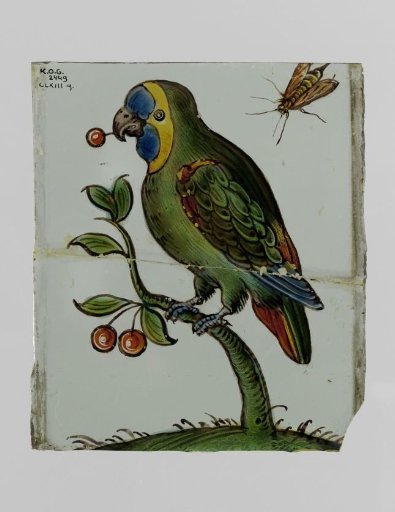 Square with a bird and an insect