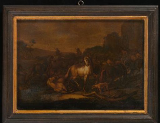 Herd of horses