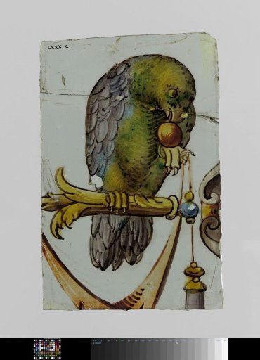 Pane with a bird holding a cherry in its beak and a festoon on a leg