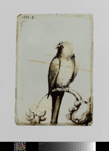 Pane with a bird on a curved branch