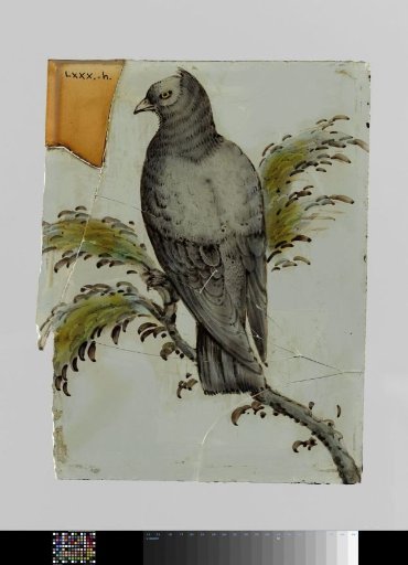 Pane with a bird on a branch