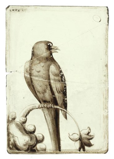 Pane with a bird on a curved branch