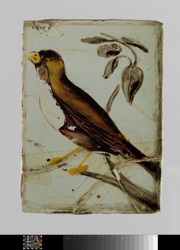 Pane with a Bird on a Branch