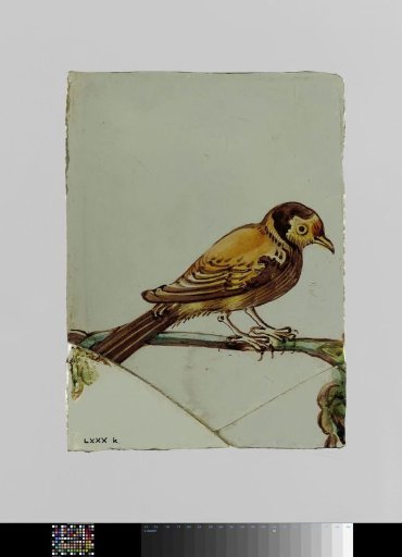 Pane with a Bird on a Branch