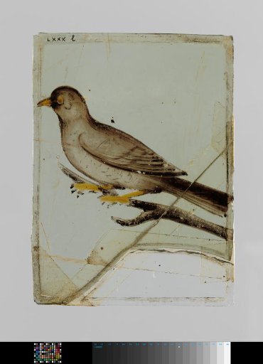Pane with a Bird on a Branch