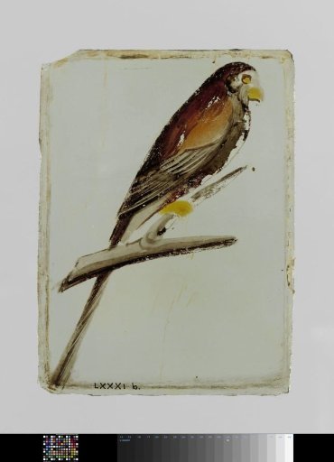 Panel with a bird on a branch