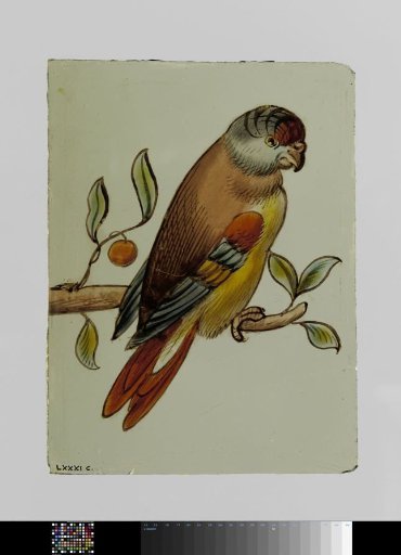 A pane with a bird on a branch
