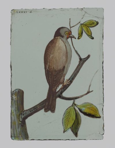 A pane with a bird holding a branch in its beak