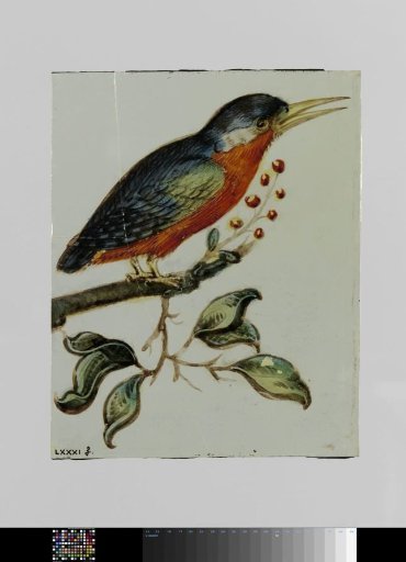 Pane with a Bird Perched on a Branch with Berries