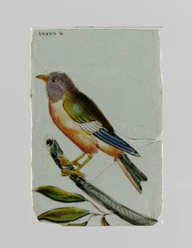 Panel with a bird on a branch