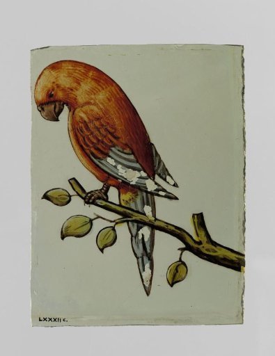Panel with a parrot