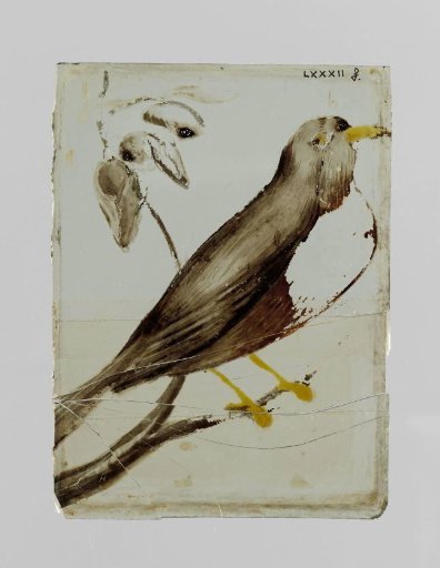 Pane with a bird on a branch