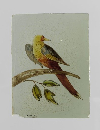 Pane with a bird on a branch