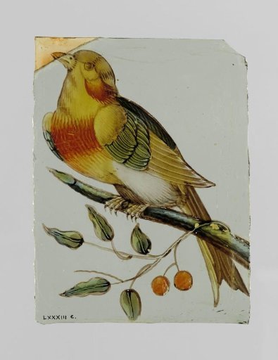 Pane with a bird on a branch