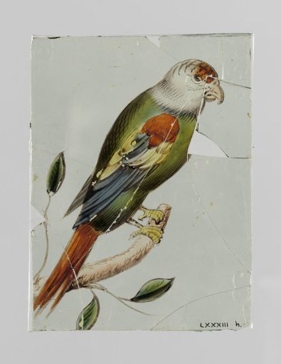 Square with a bird on a branch