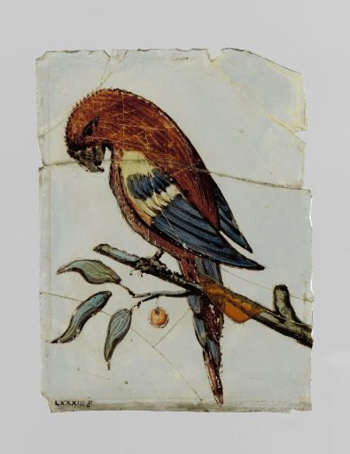 Square with a parrot