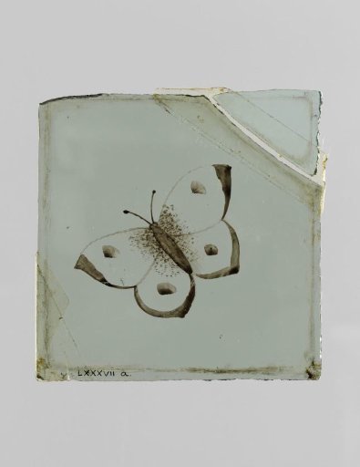 Pane with a butterfly