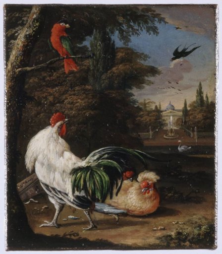 Birds in a park